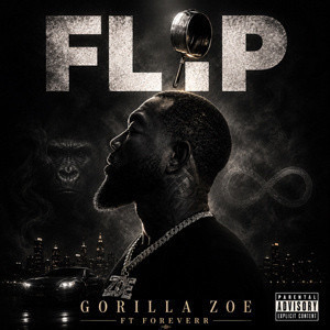 FLIP